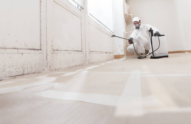 24/7 Emergency Attic Mold Removal experts in Irvona, PA