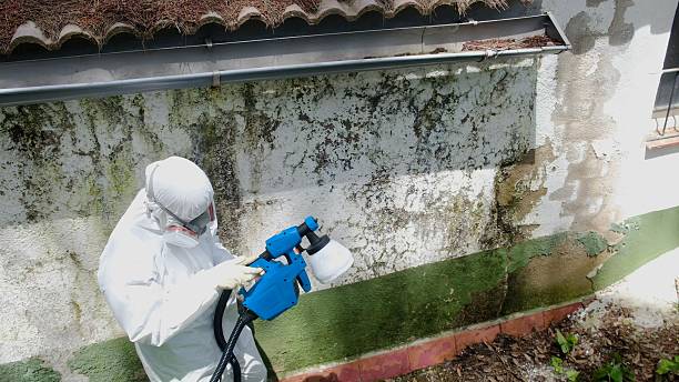 Trusted Mold Inspection service in Irvona, PA - Cheap Mold Removal